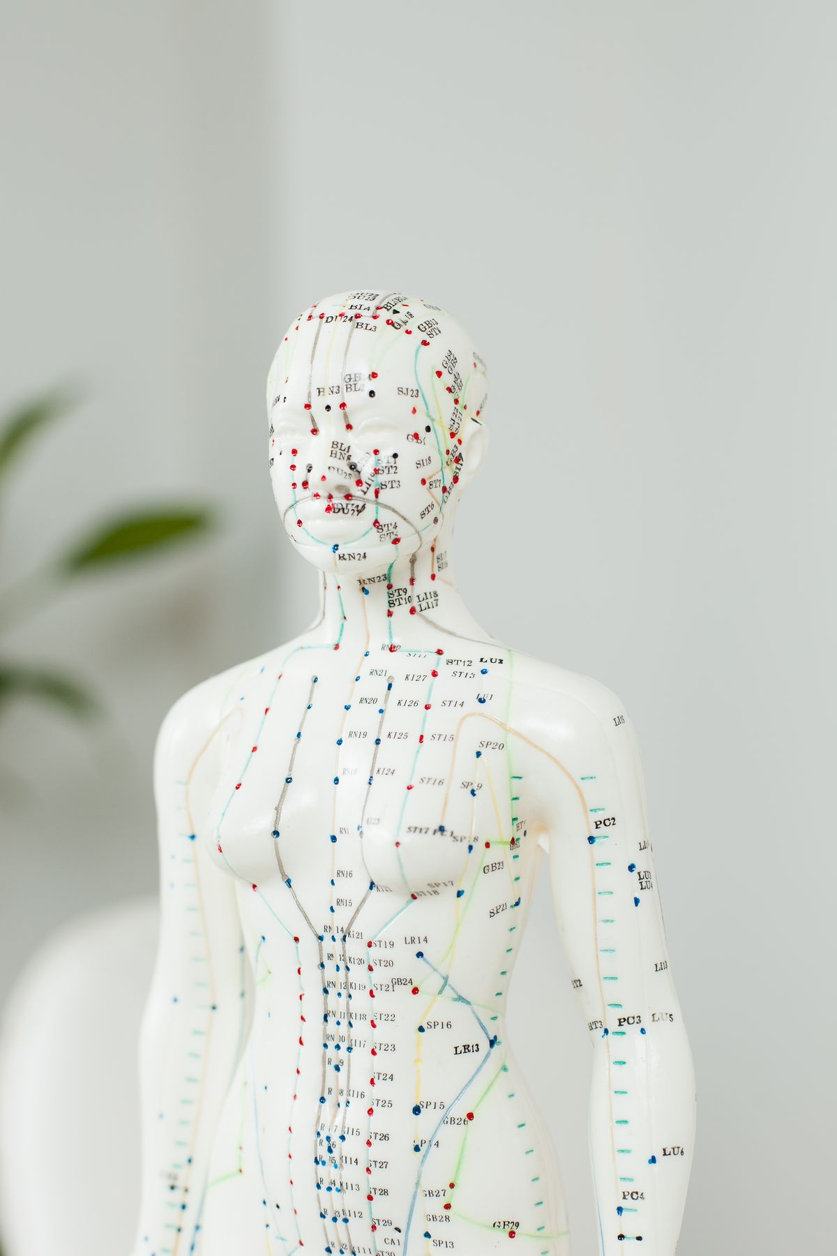 Acupuntura Energética